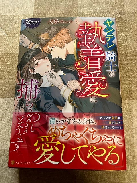 ヤンデレ騎士の執着愛に捕らわれそう 犬咲 2月刊 ノーチェブックス アルファポリス ｔｌ 恋愛小説一般 売買されたオークション情報 Yahooの商品情報をアーカイブ公開 オークファン Aucfan Com