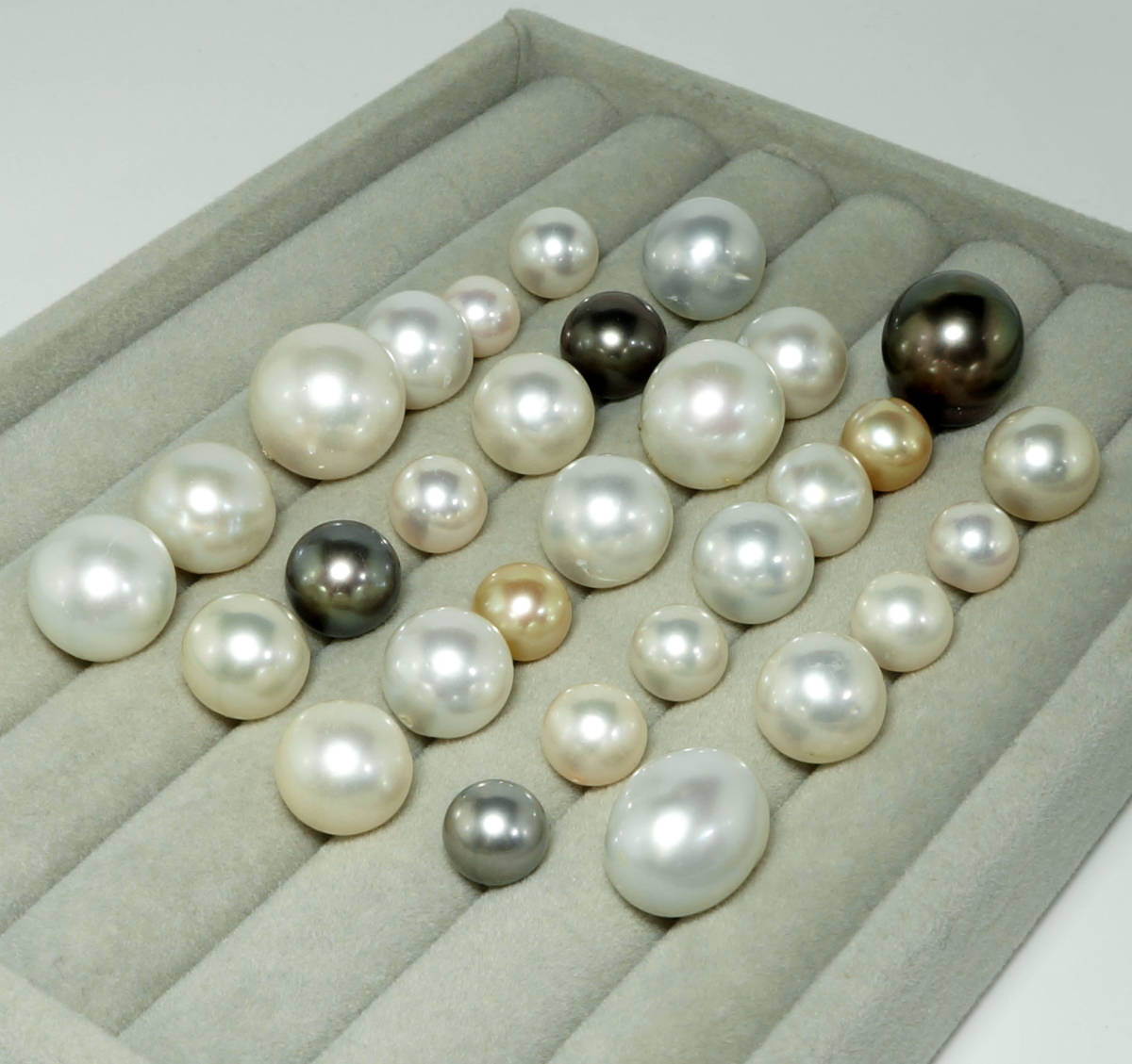 黒蝶真珠 アコヤパール タヒチパール 14.5mm 新品 20粒 M☆おまとめ