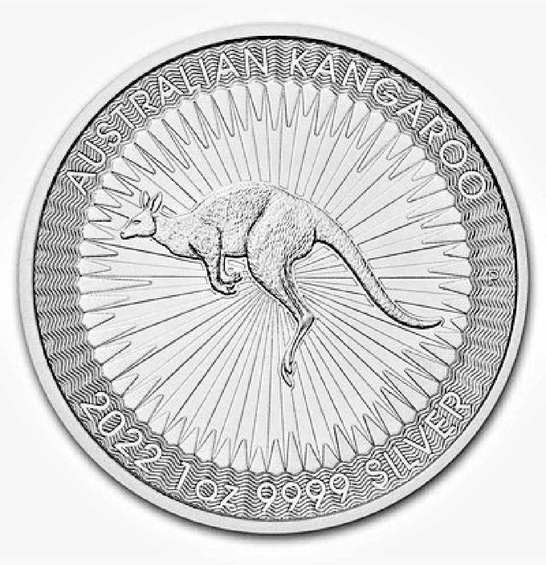 2022年 オーストリア カンガルー 1オンス銀貨 ケース付き 2022年 オーストラリア カンガルー 1オンス 9999純銀