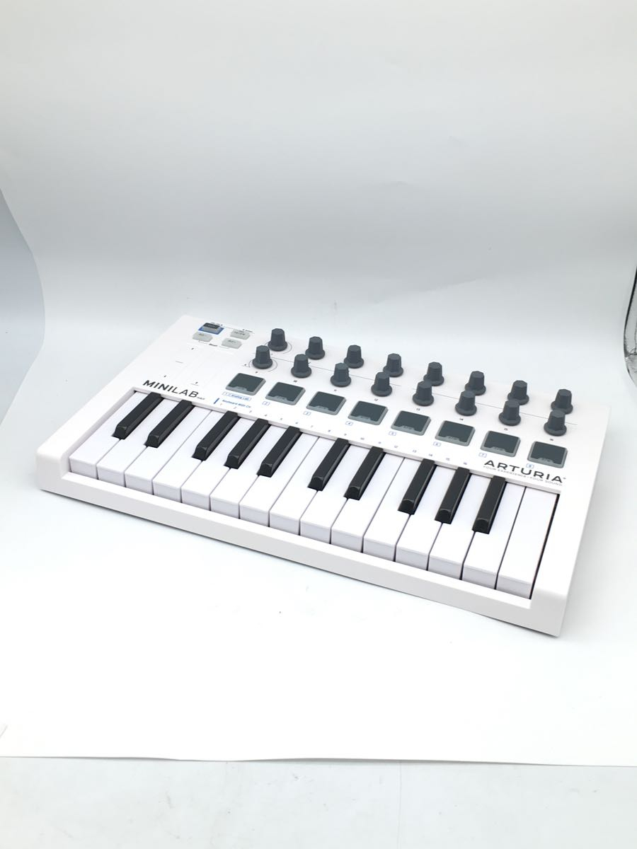 新作グッ Arturia Minilab Mkii Inverted Usb Midiキーボード コントローラー Fucoa Cl