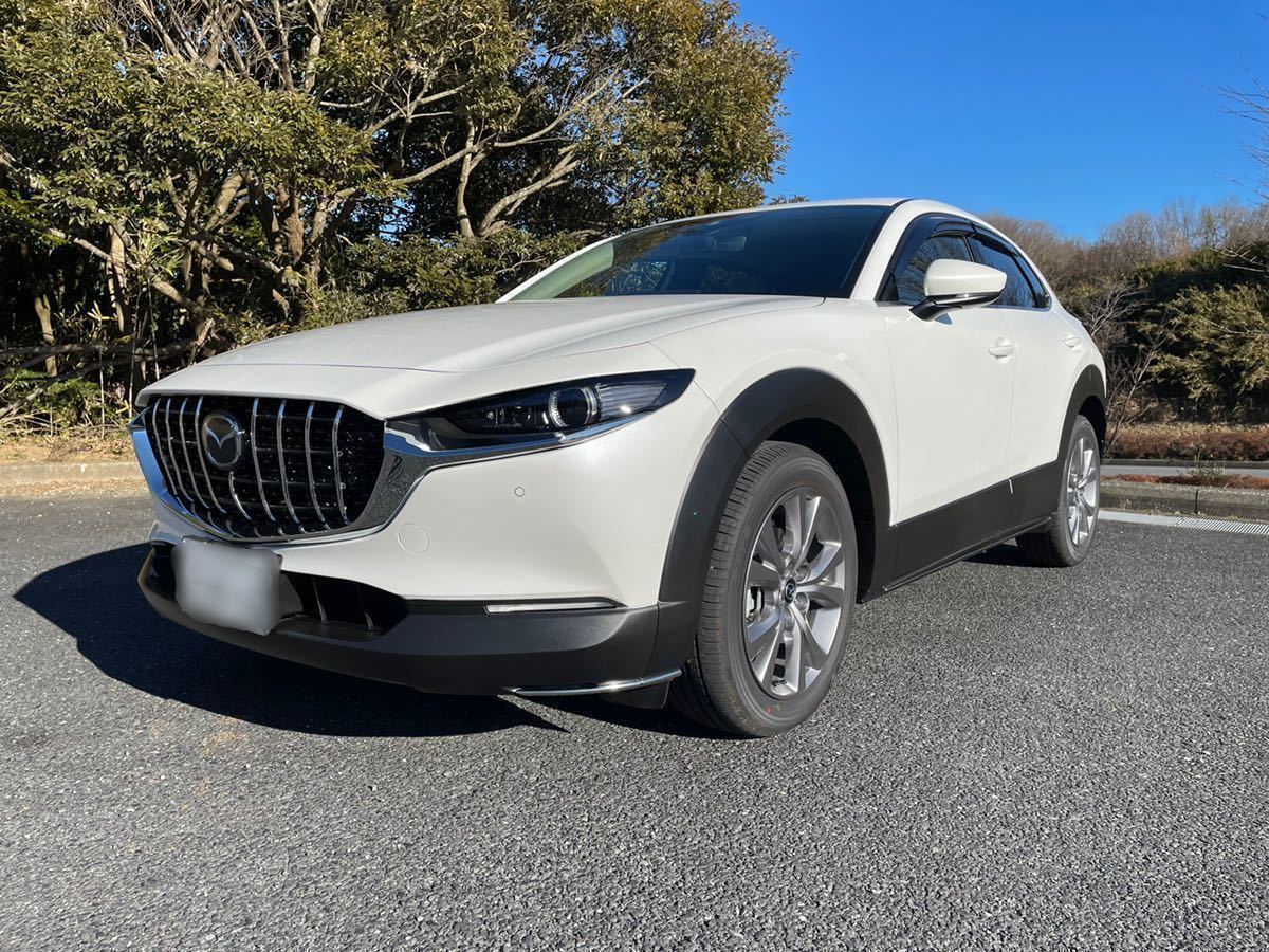 送料値下　MAZDA CX-30 未使用品　バーチカルグリル　9本ライン　結束バンド付き　手作り品