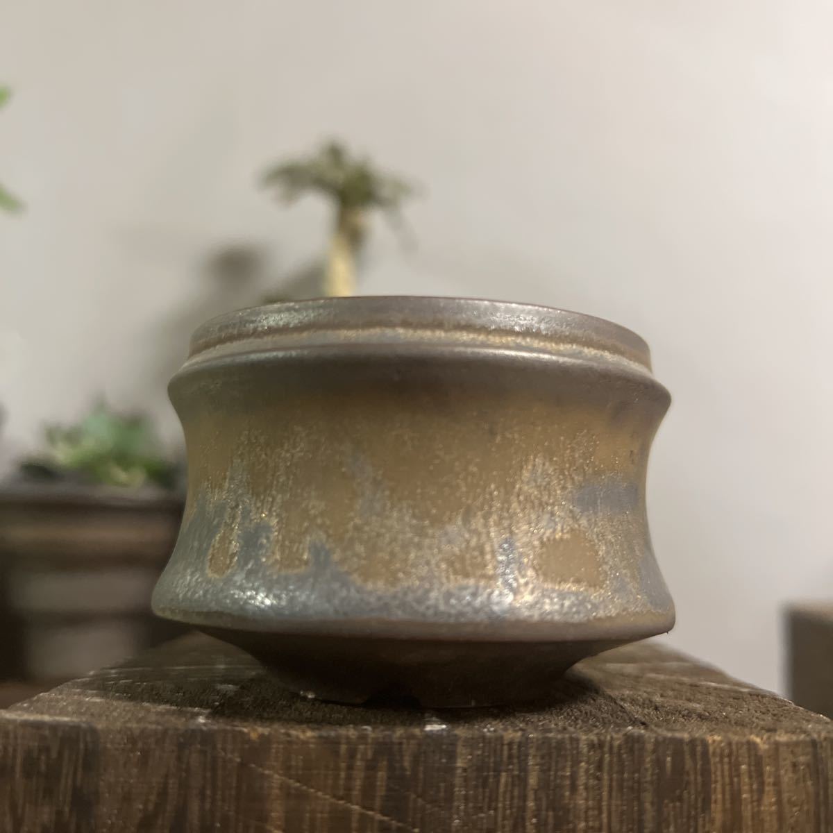 手作り 植木鉢 RLF 塊根植物 手作植木鉢 3点セット検索（カタチ製作所