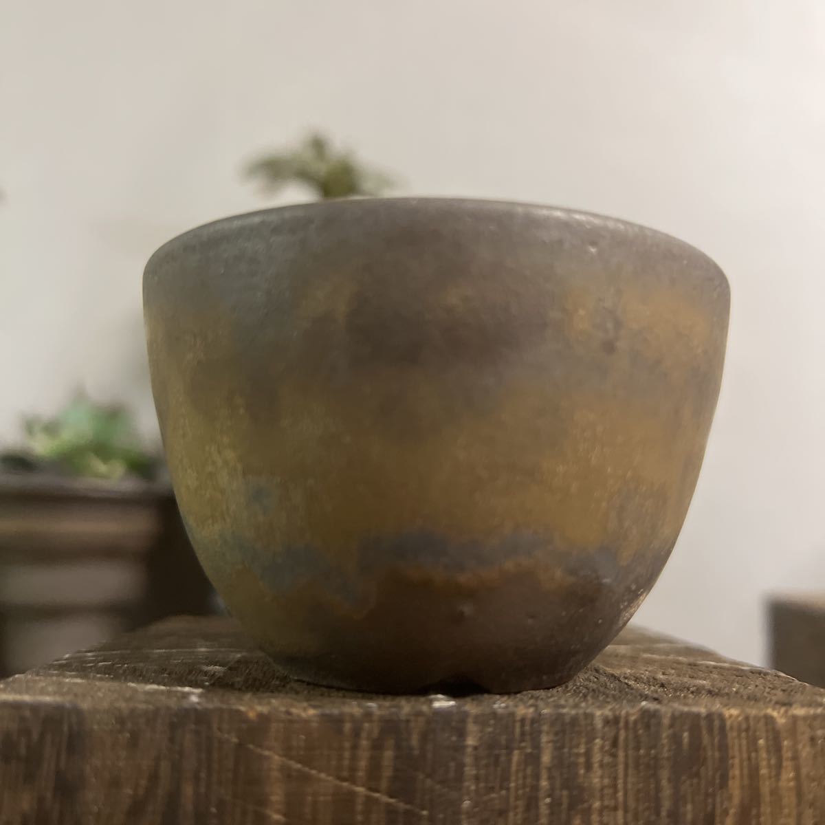 手作り 植木鉢 RLF 塊根植物 手作植木鉢 3点セット検索（カタチ製作所
