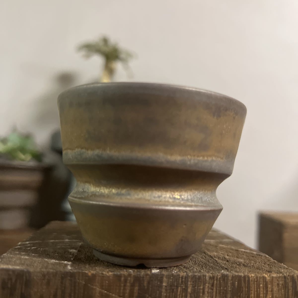 手作り 植木鉢 RLF 塊根植物 手作植木鉢 3点セット検索（カタチ製作所