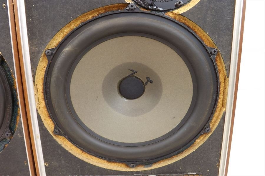 スキャンダイナ スピーカーペア A-25 デンマーク製 - 写真とレコード