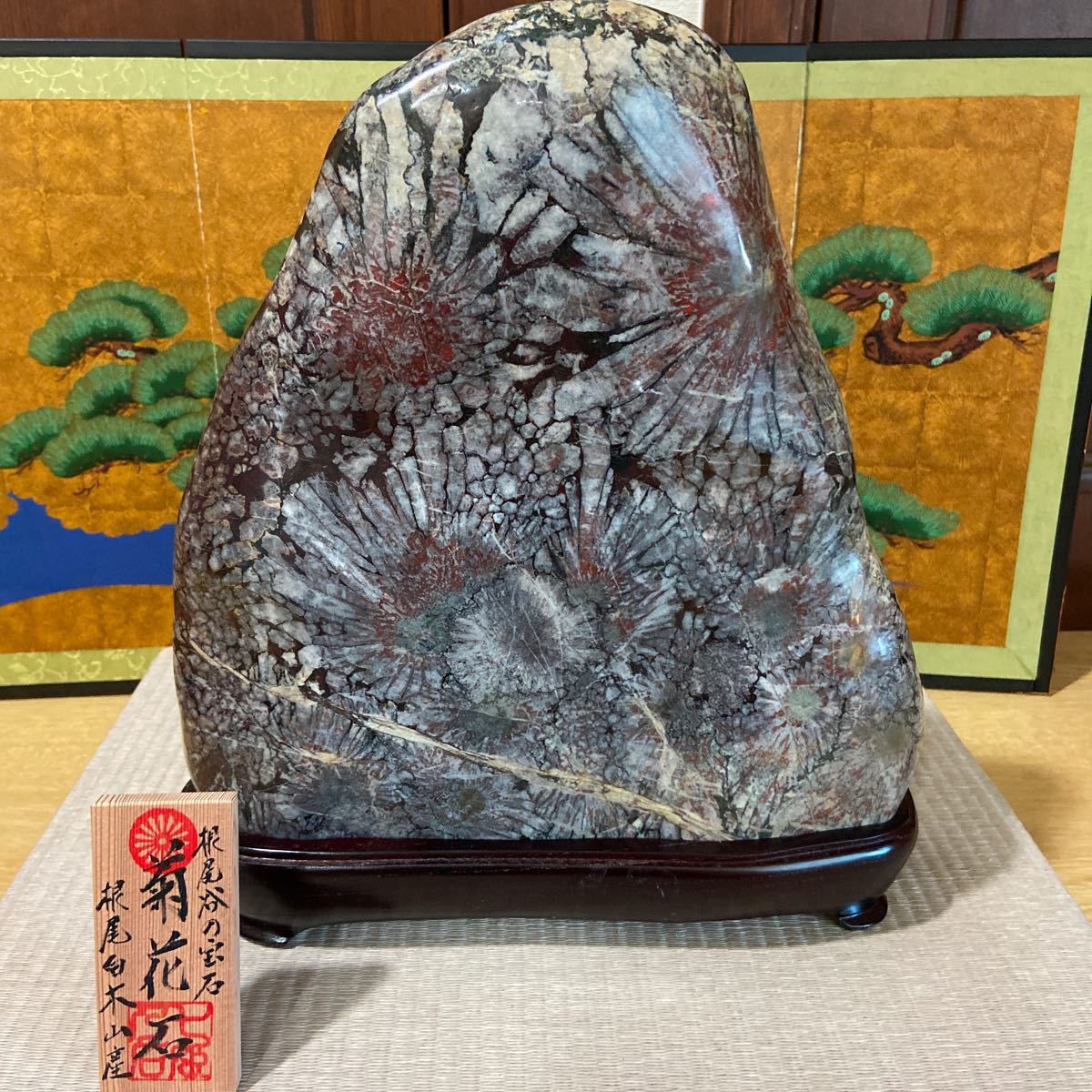 菊花石 9.18kg ☆ 鑑賞石 菊花石(原石)｜売買されたオークション情報