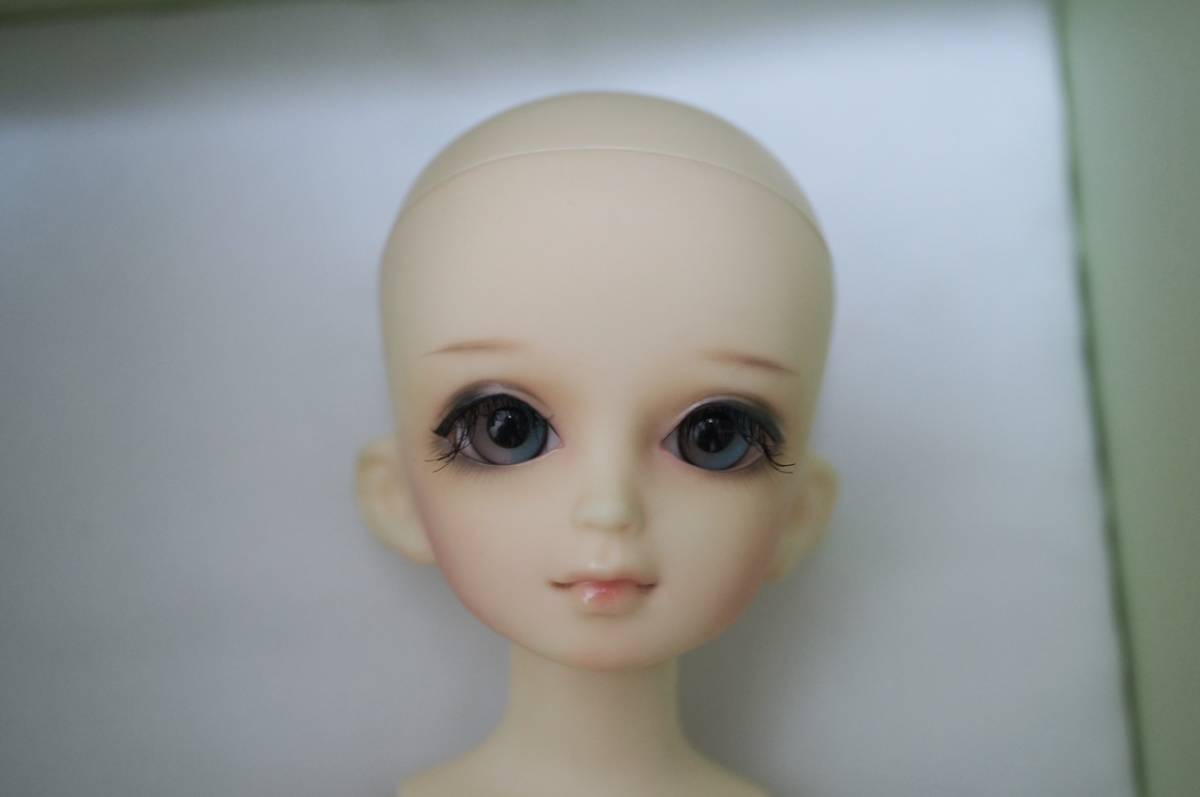 ボークス 幼SD エディ ヘッド+たんぽぽ 2nd ボディ