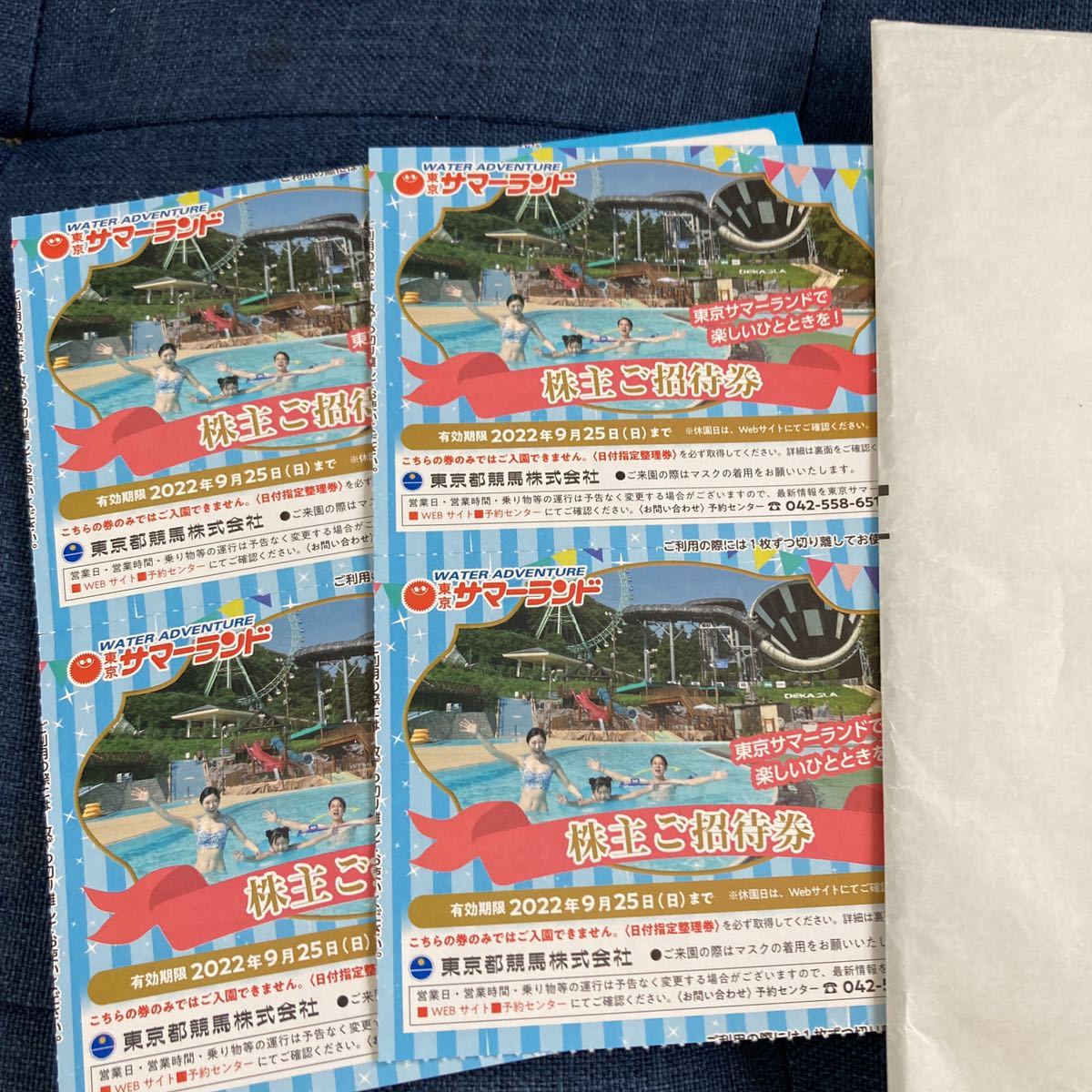 東京サマーランド 株主優待券4枚(プール)｜売買された