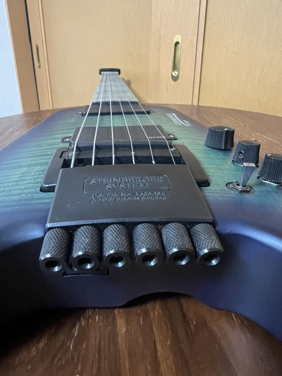 スタインバーガー　シナプス　トランスケール