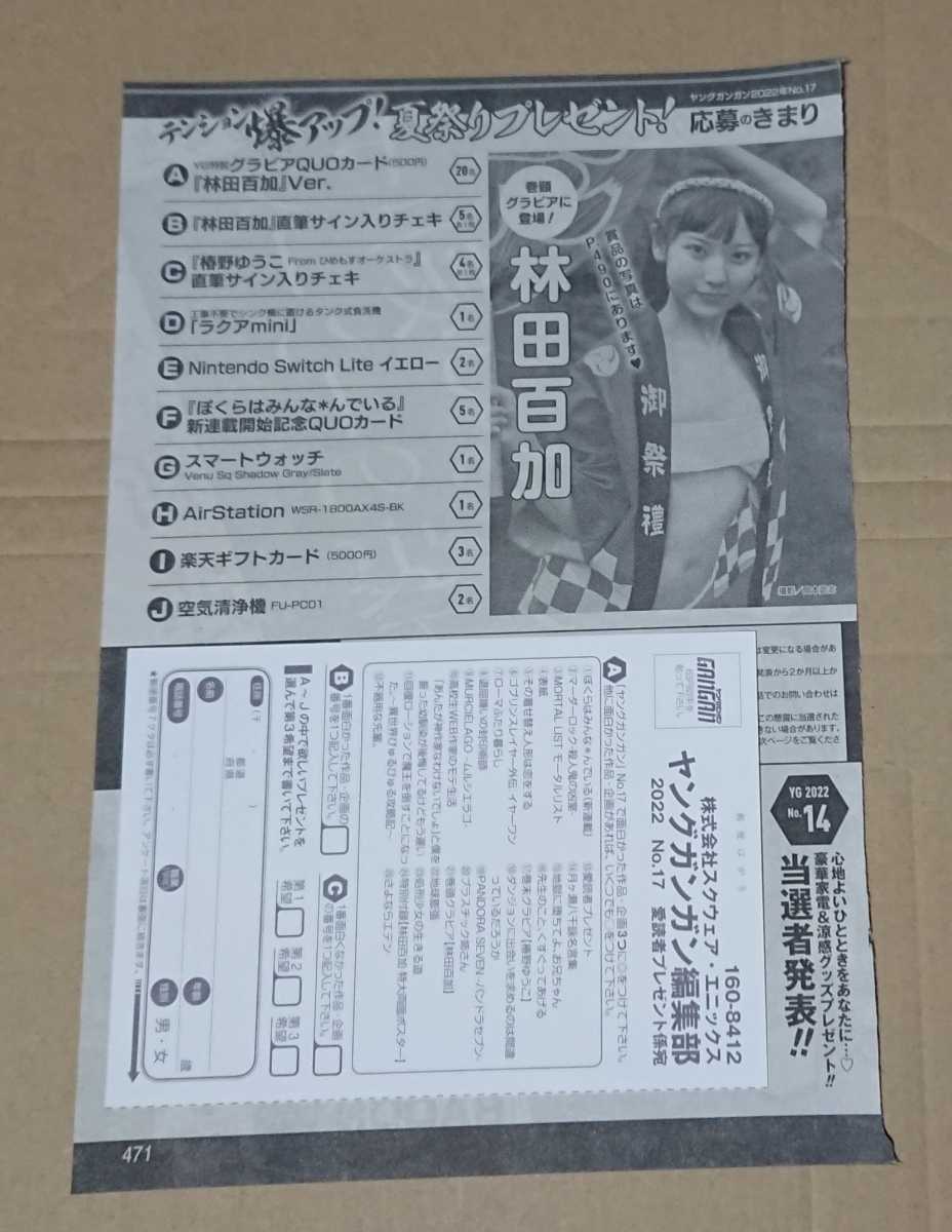 ヤングガンガン 17号 応募ハガキ 林田百加 椿野ゆうこ クオカード  