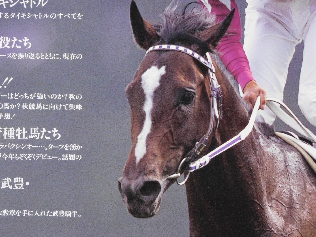 スペシャルウィーク 武豊 日本ダービー ポスター B2サイズ 98年 中央