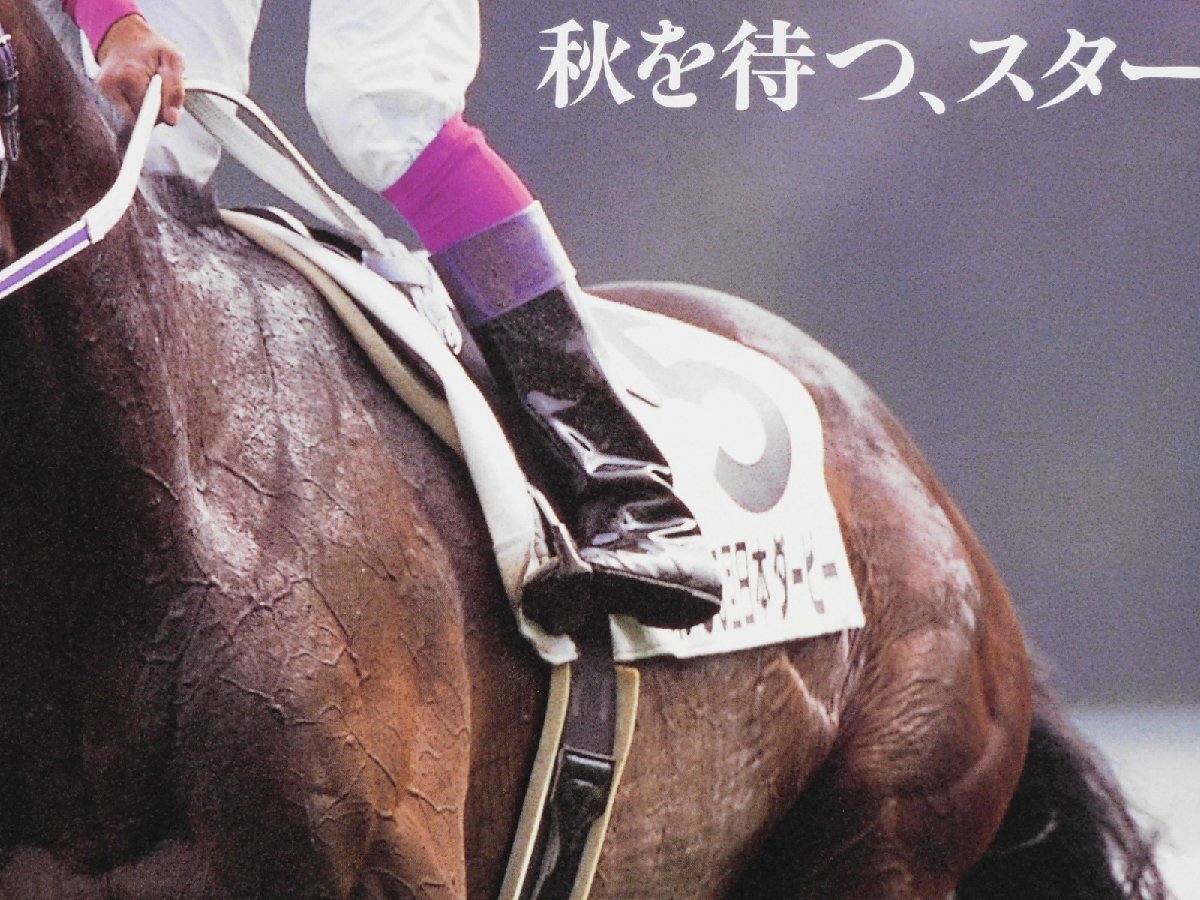 スペシャルウィーク 武豊 日本ダービー ポスター B2サイズ 98年 中央