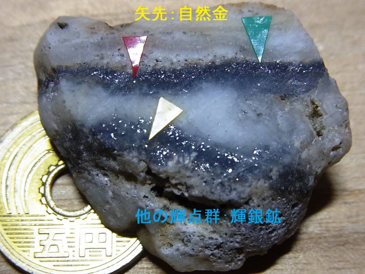 佐渡鉱山 相川海岸 No.184 自然金・輝銀鉱伴う銀黒礫(博物館級
