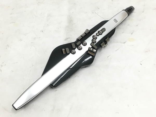 Roland AE-30 AEROPHONE PRO デジタル管楽器 中古 美品 Y6751202