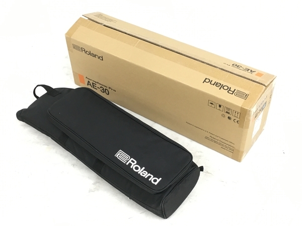 Roland AE-30 AEROPHONE PRO デジタル管楽器 中古 美品 Y6751202