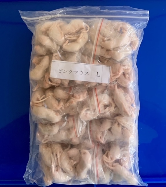 新作入荷，品質保証 冷凍 ピンクマウス Ｌサイズ 100匹(エサ)｜売買されたオークション情報、yahooの商品情報をアーカイブ公開 - オークファン エサ