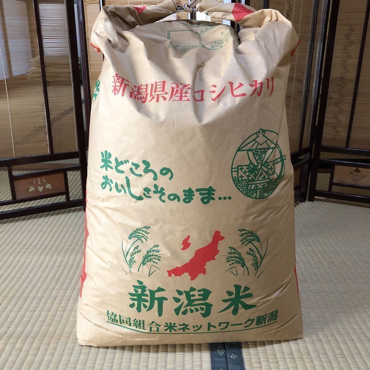 令和3年 新潟県産コシヒカリ 玄米 30kg 残り4袋です 【公式通販】