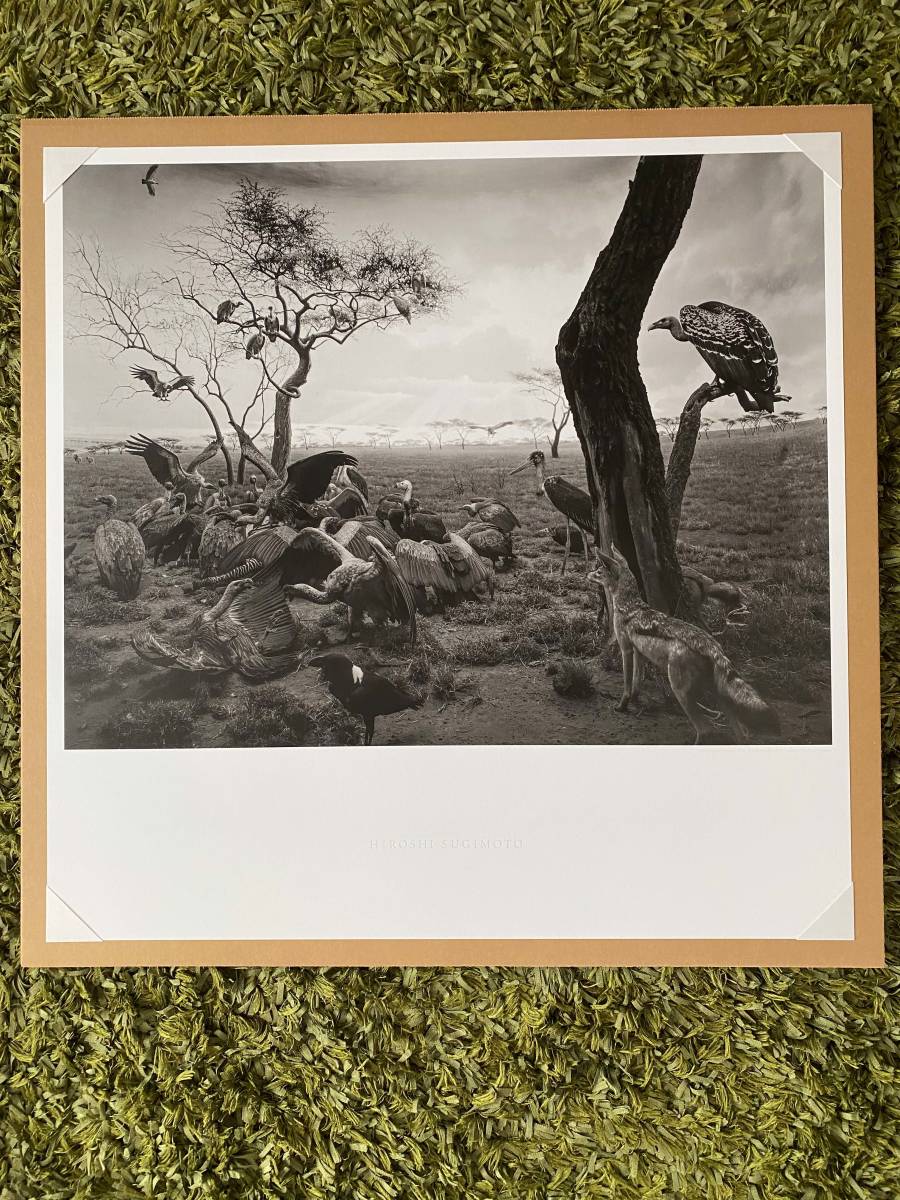 Hyena?Jackal?VultureHyena?Jackal?Vulture|杉本博司Hiroshi Sugimoto