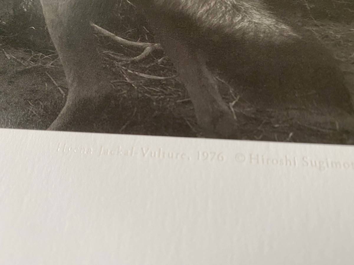 Hyena?Jackal?VultureHyena?Jackal?Vulture|杉本博司Hiroshi Sugimoto