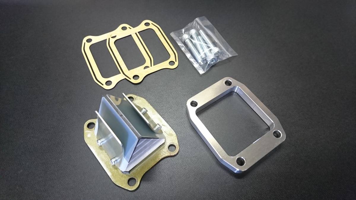 送料無料！新品NSR50 NS-1 VFORCE3 ビックリードバルブ カーボン NSR50