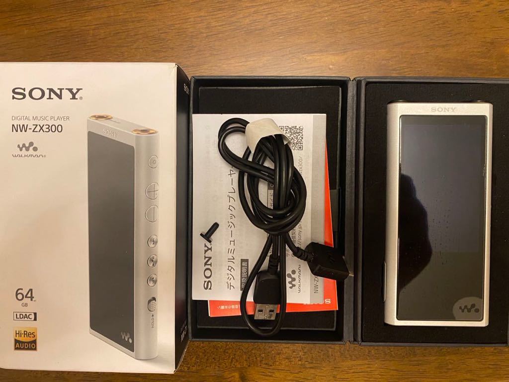 Astell&Kern AK100 アイリバー iriver DAP 【公式通販】