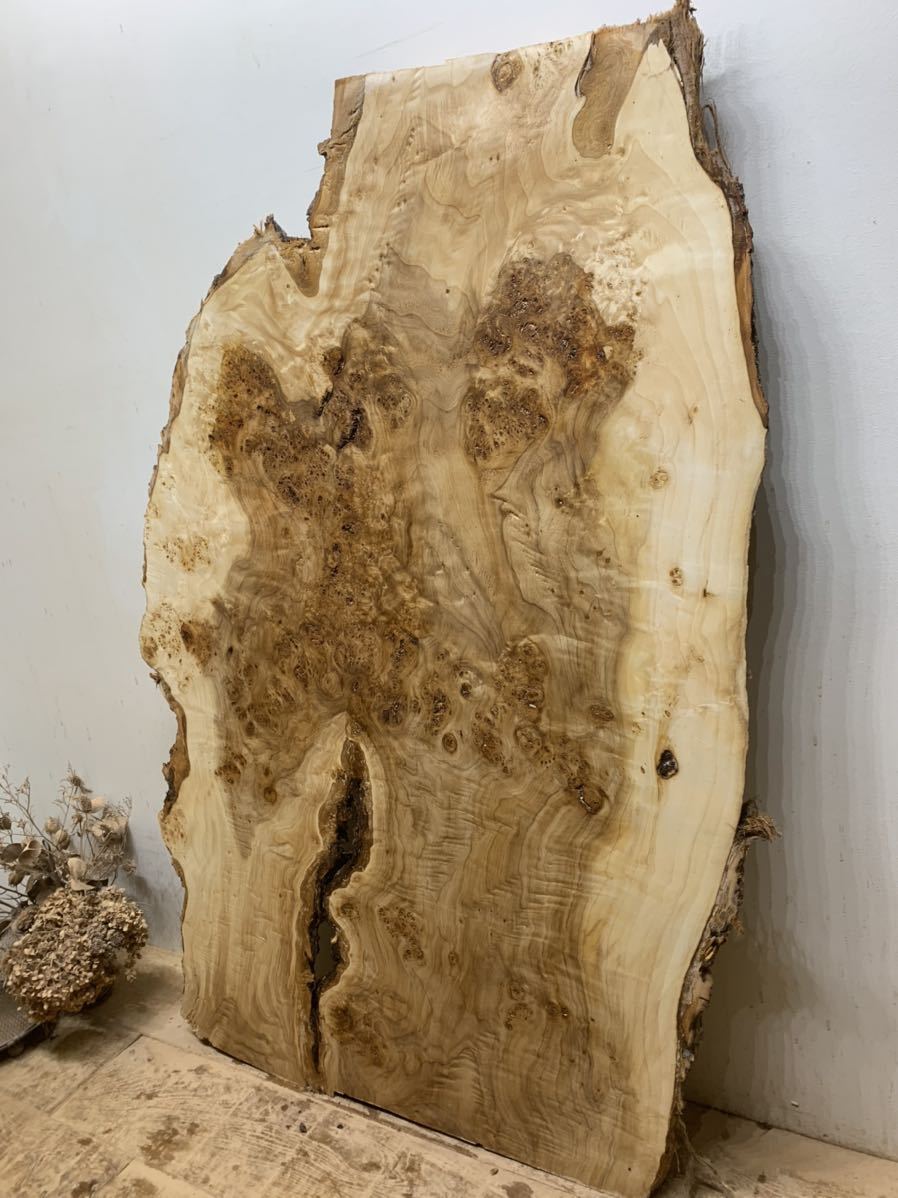 5 ポプラ 瘤杢 1280x890x46 一枚板 DIY 天板 カウンター 棚板 皿 小物