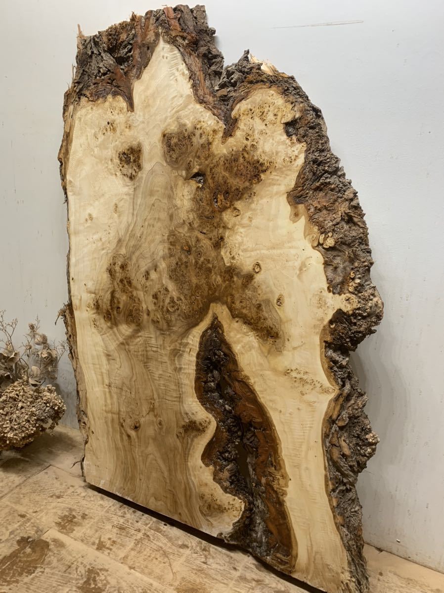 5 ポプラ 瘤杢 1280x890x46 一枚板 DIY 天板 カウンター 棚板 皿 小物