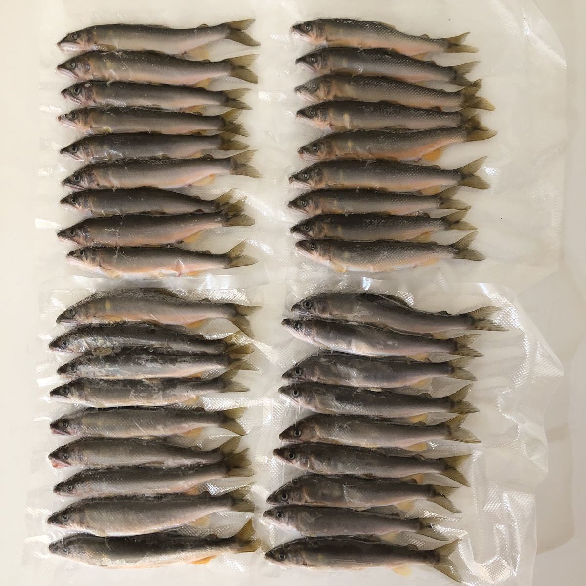 ハッセルブラッドのオートマチックベローズエクステンション