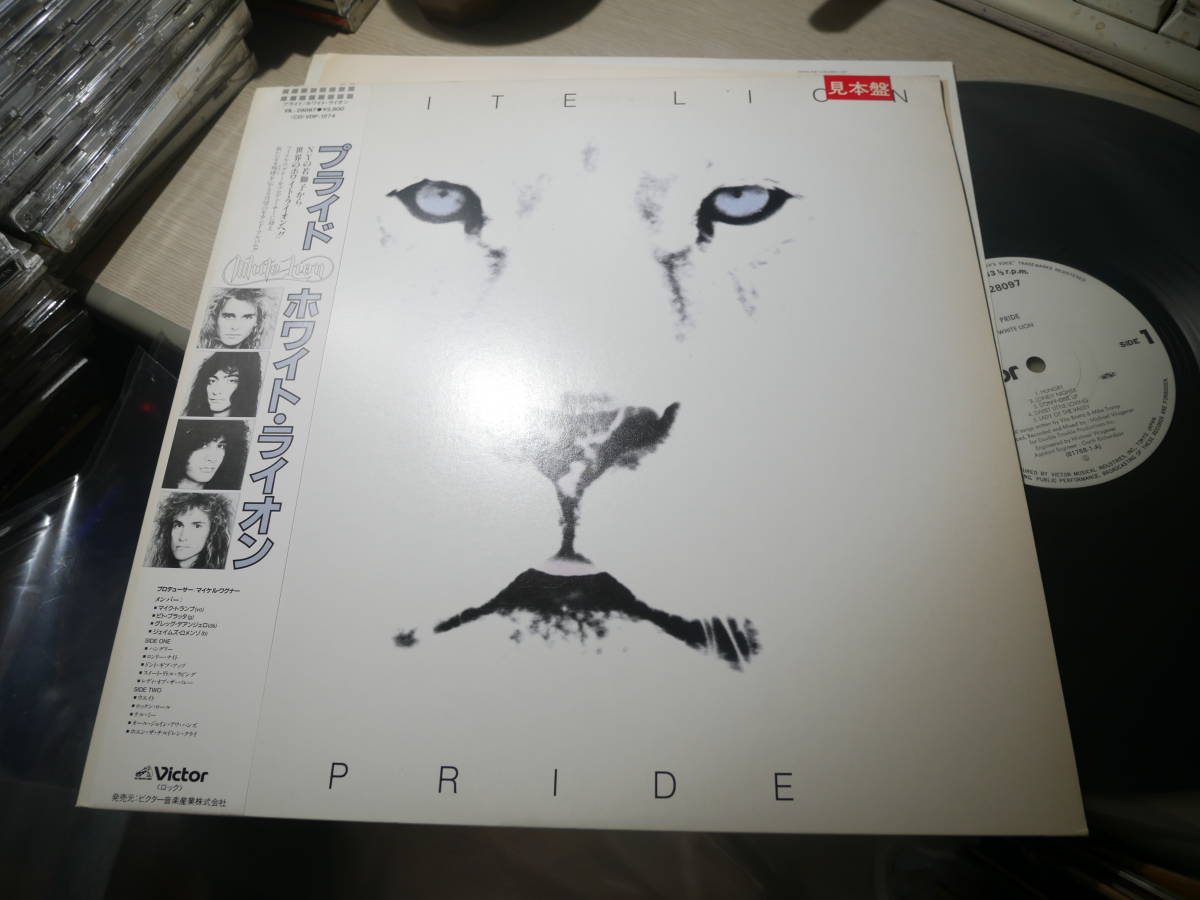 lion Yahoo!オークション pride」音楽の落札相場・落札価格 「white