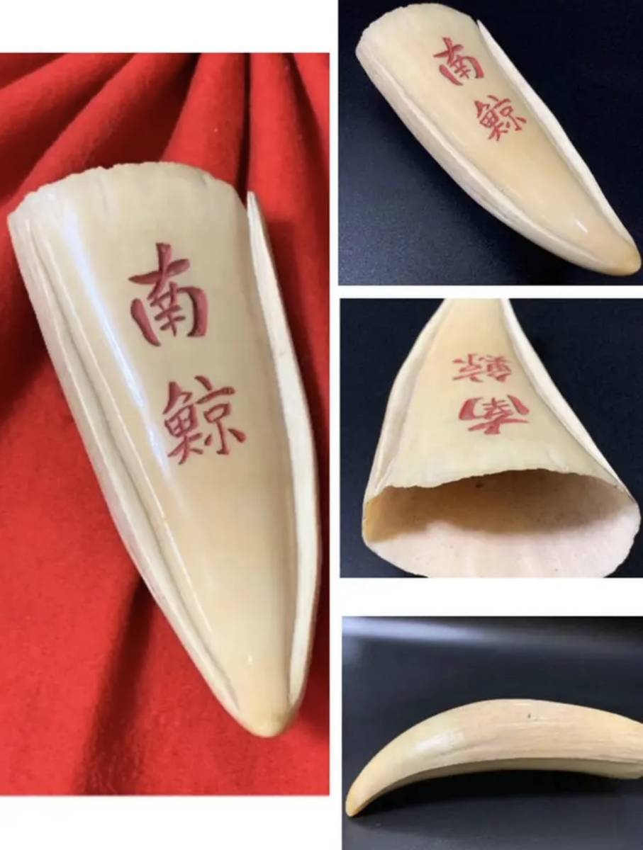 南鯨クジラ 彫刻 根付 提物 飾り物 350g 美品