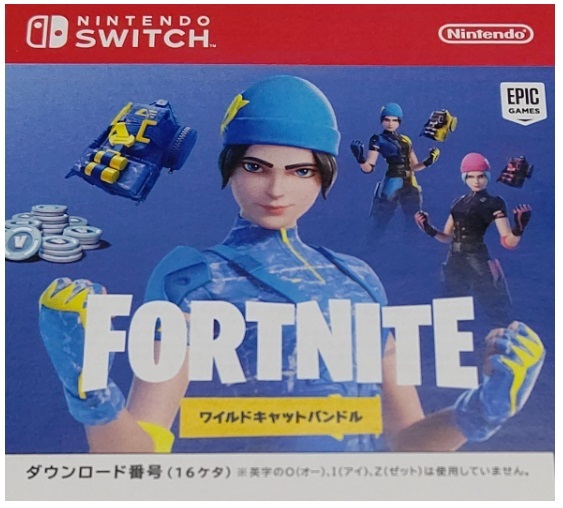 即決 当日通知 未使用 Switch FORTNITE Specialセット 特典 ワイルド 