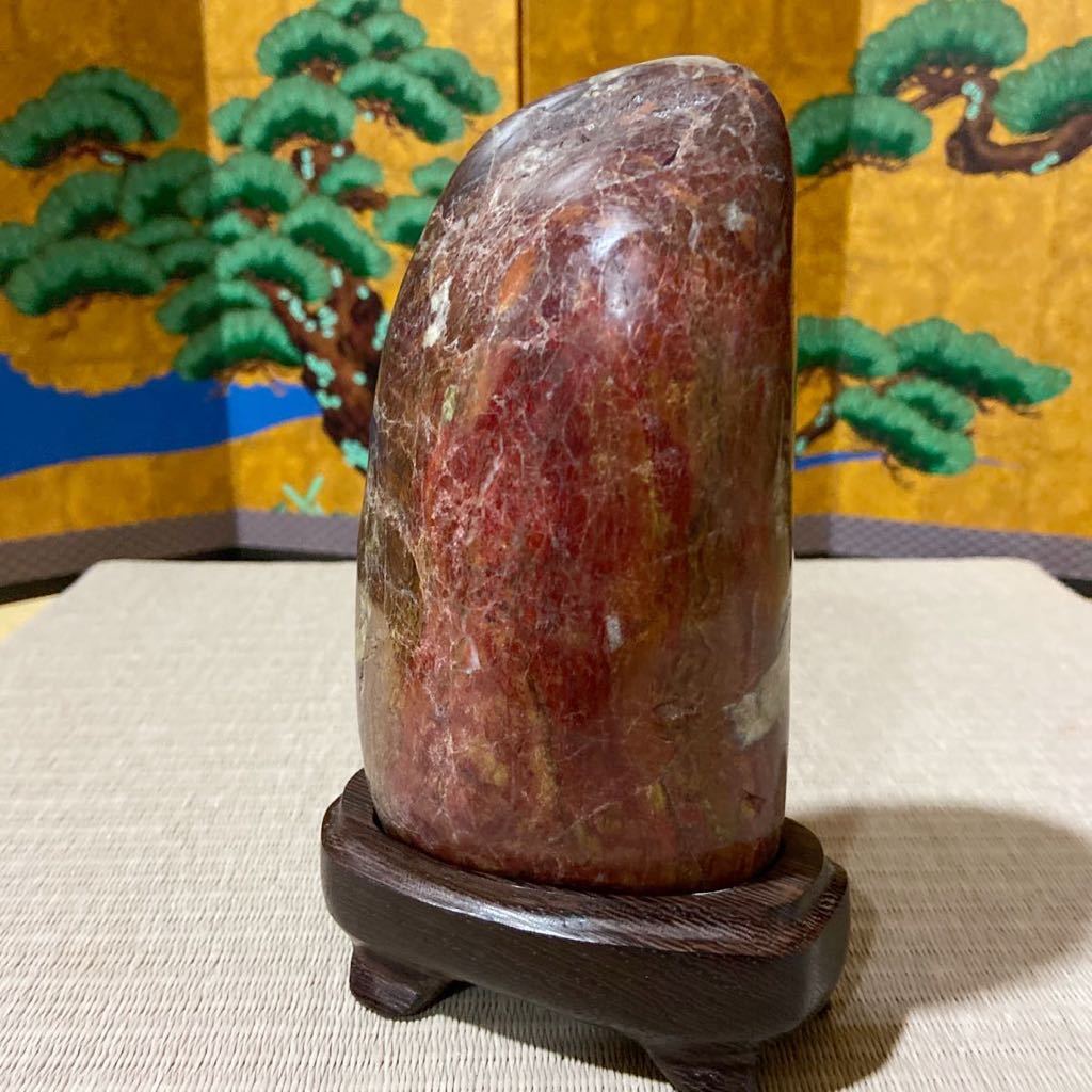 桜石マニア向け 桜母岩に咲く菊花石 ☆ 鑑賞石 菊花石 盆栽 桜石(原石