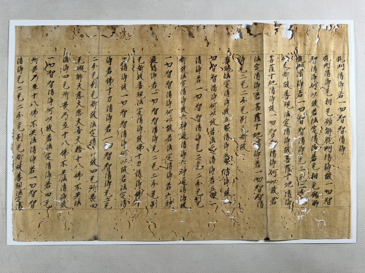 古写経、大般若波羅蜜多経、二十三行断簡、平安時代 -鎌倉時代 仏教