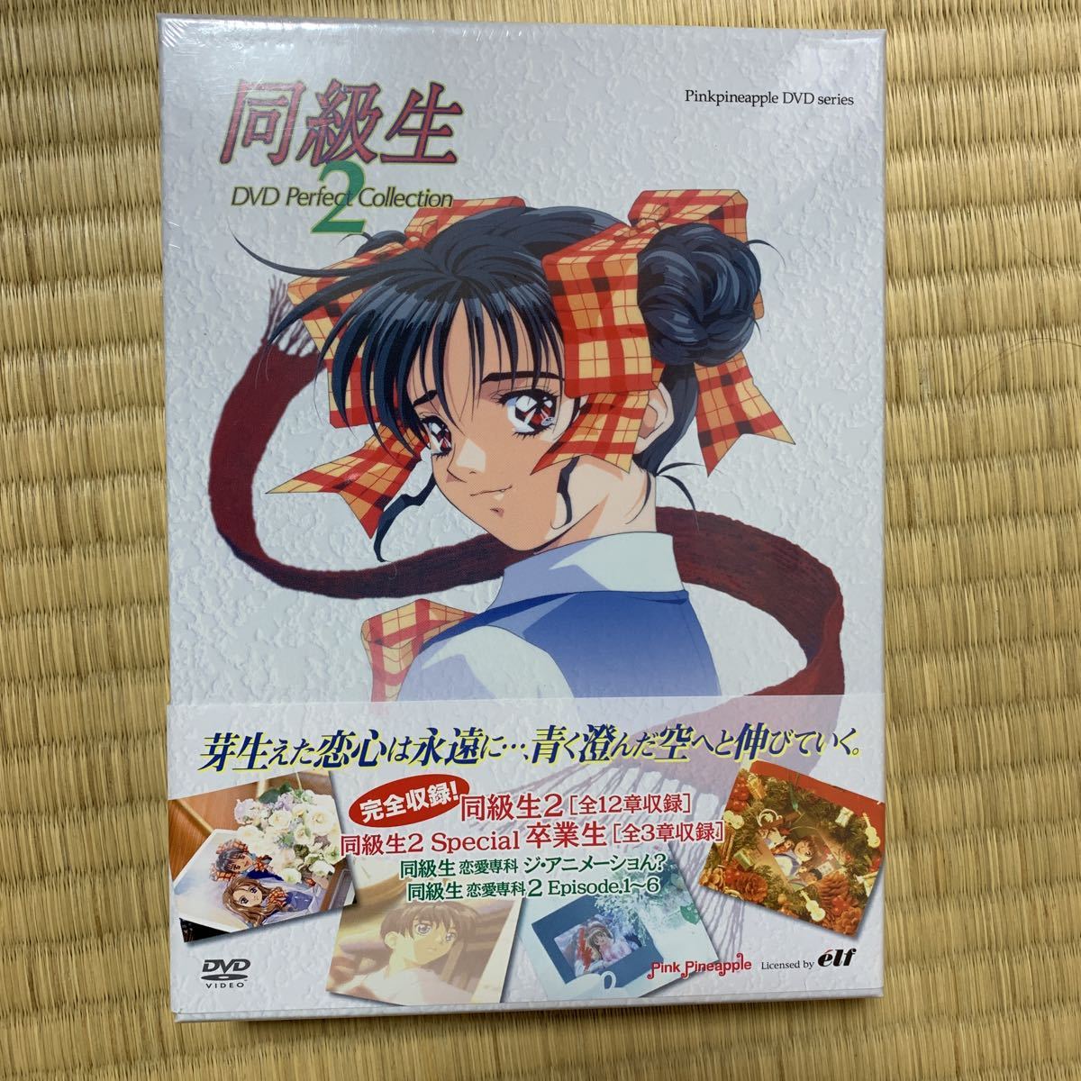 本物保証，人気SALE 同級生2 DVD Perfect Collection