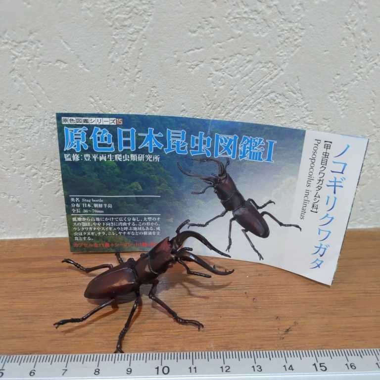 2005 Yujin 原色図鑑シリーズ15 “原色日本昆虫図鑑Ⅰ” 甲虫目