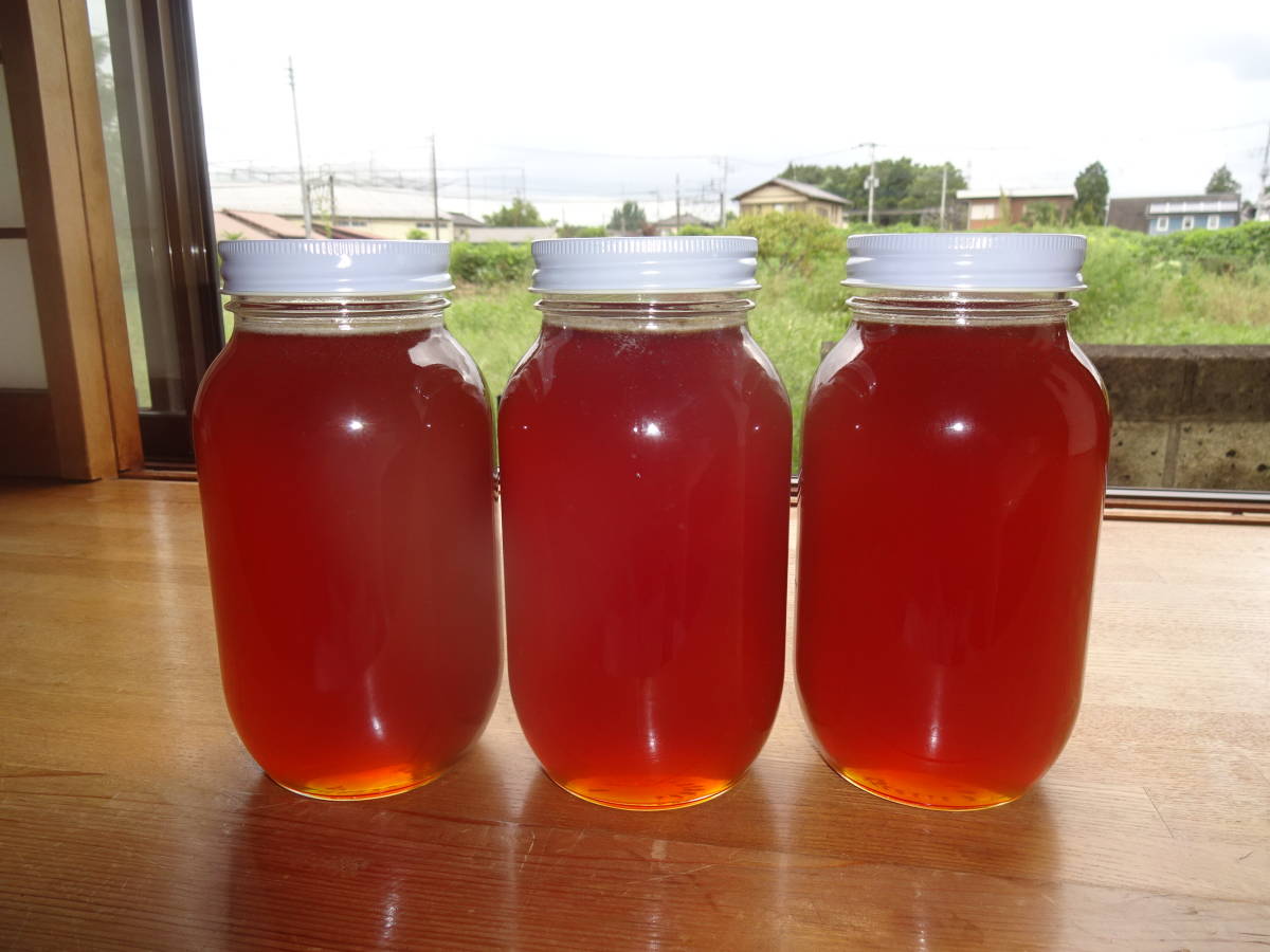 蜂蜜（日本蜜蜂1,1kg×3本）_1