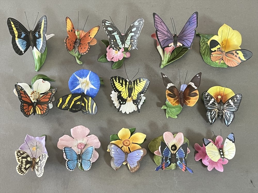 世界の蝶の値段と価格推移は 37件の売買情報を集計した世界の蝶の価格や価値の推移データを公開