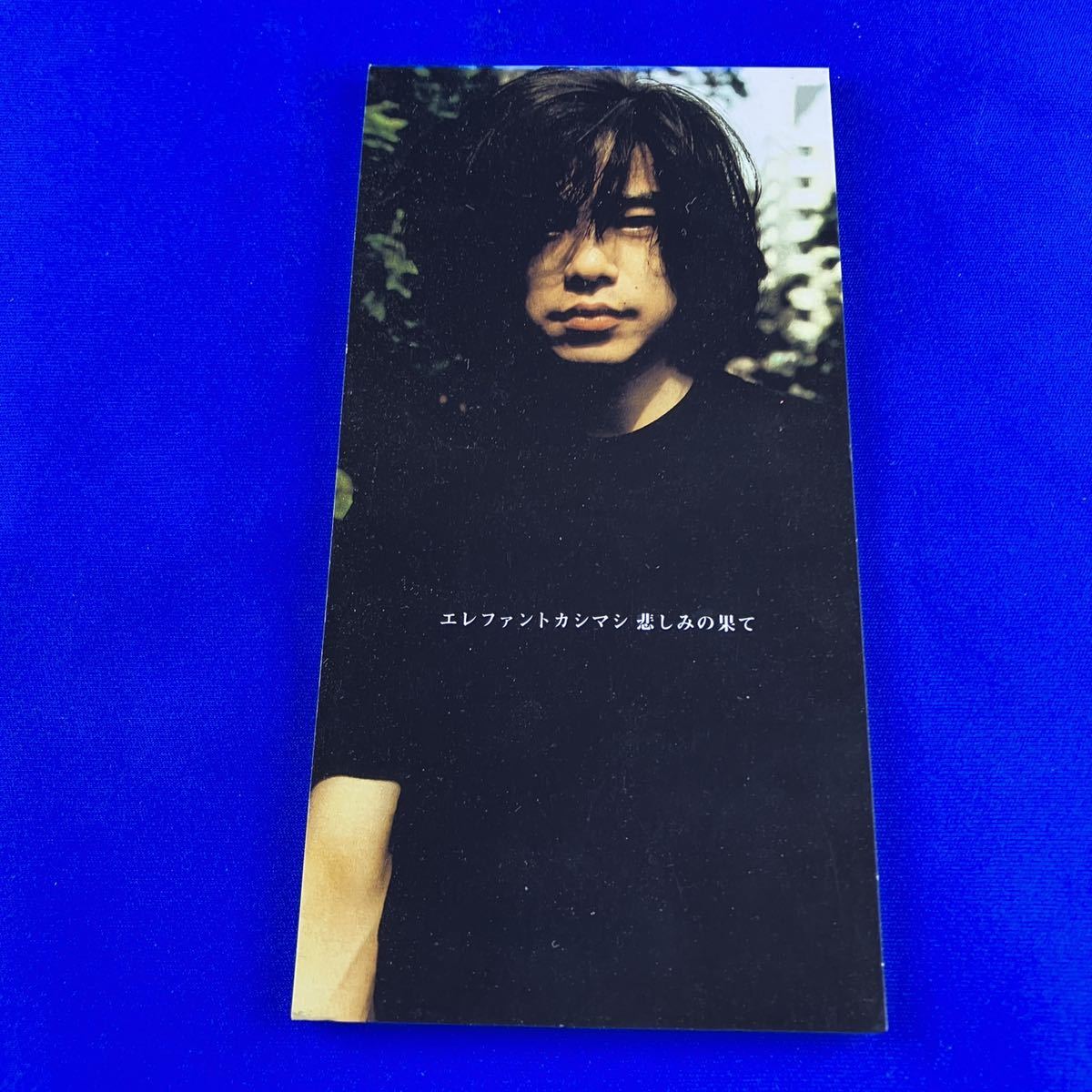 エレファントカシマシ 悲しみの果ての値段と価格推移は 21件の売買情報を集計したエレファントカシマシ 悲しみの果ての価格や価値の推移データを公開