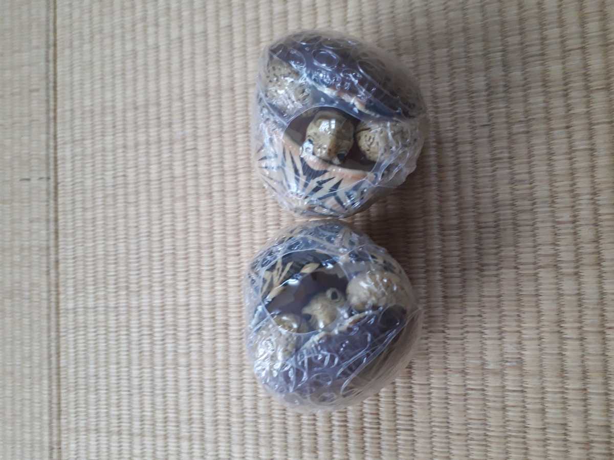 ホウシャガメの値段と価格推移は 8件の売買情報を集計したホウシャガメの価格や価値の推移データを公開