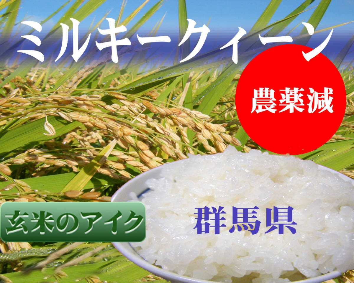 食品 玄米20kg（10kg×2）令和4年産新米 ミルキークイーン 精米・分搗き