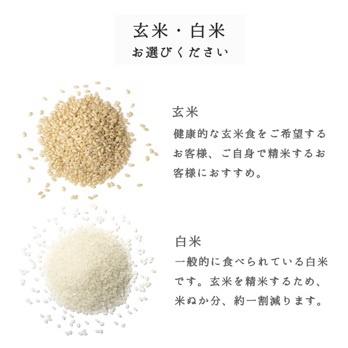 新米 令和4年産 米 お米 10kg 山形県産 はえぬき 送料無料 玄米 白米 精米無料 一等米 30kg 20kg も販売中