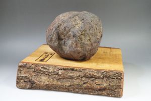 富士溶岩石の値段と価格推移は 36件の売買情報を集計した富士溶岩石の価格や価値の推移データを公開