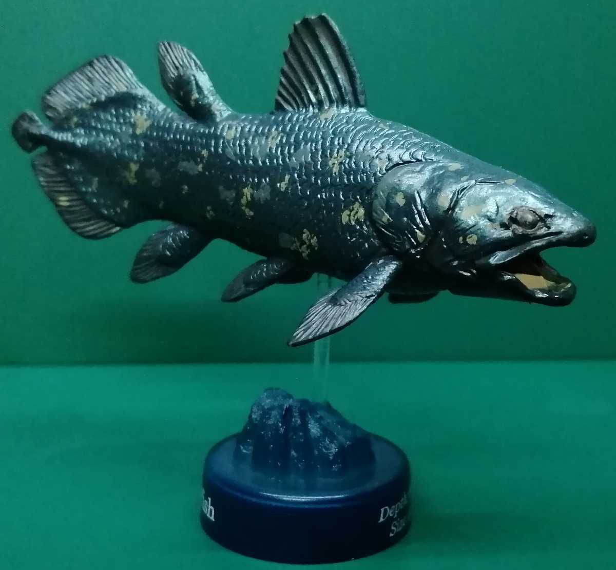 古代魚 シーラカンス ラティメリア フィギュア 正規の台座欠品(生き物 