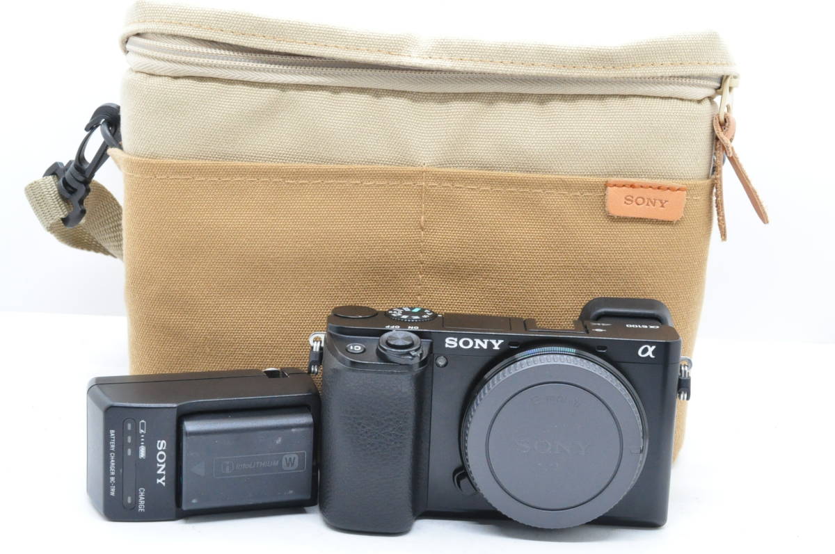 シャッターカウント 8562回 Sony a6100 デジタル 一眼 カメラ α Eマウント Digital ミラーレス Camera TN6100Sony Sony A6100 a6100 With The Comparison