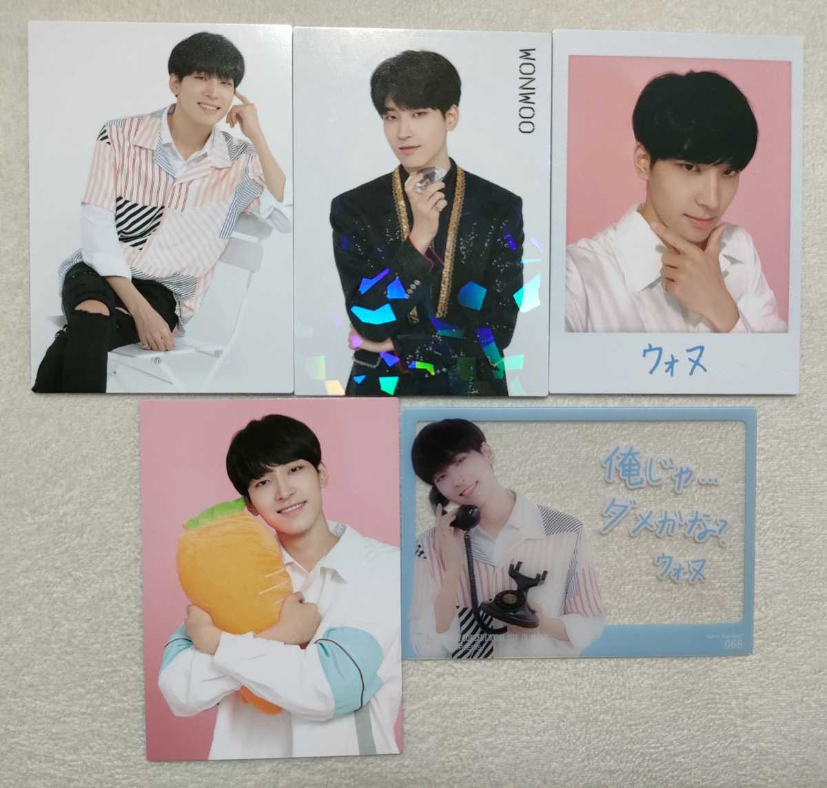 ウォヌ SEVENTEEN CONCERT IDEAL CUT IN JAPAN トレカ5枚 WONWOO 