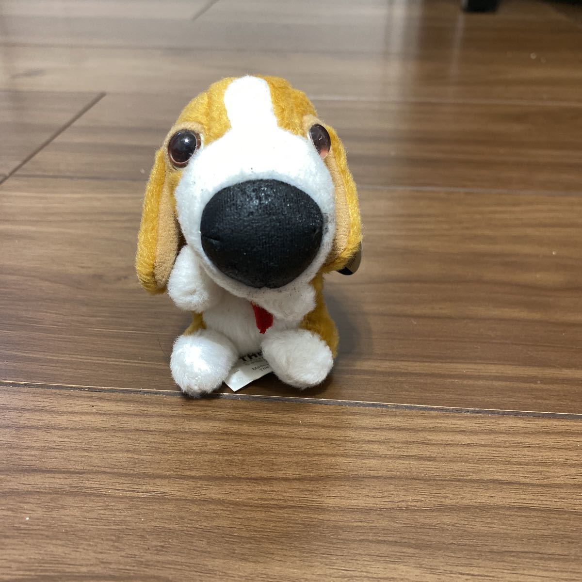 The Dog ぬいぐるみの値段と価格推移は 302件の売買情報を集計したthe Dog ぬいぐるみの価格や価値の推移データを公開