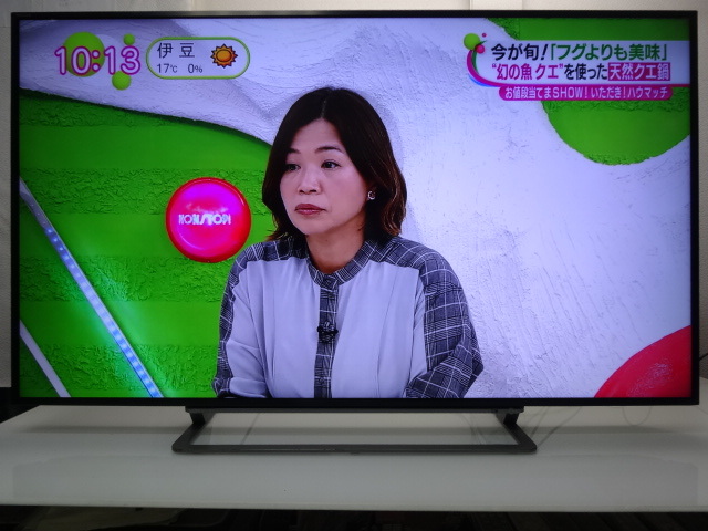 55インチ（録画対応外付けHDD録画）の通販 東芝 レグザ 外付けhddの