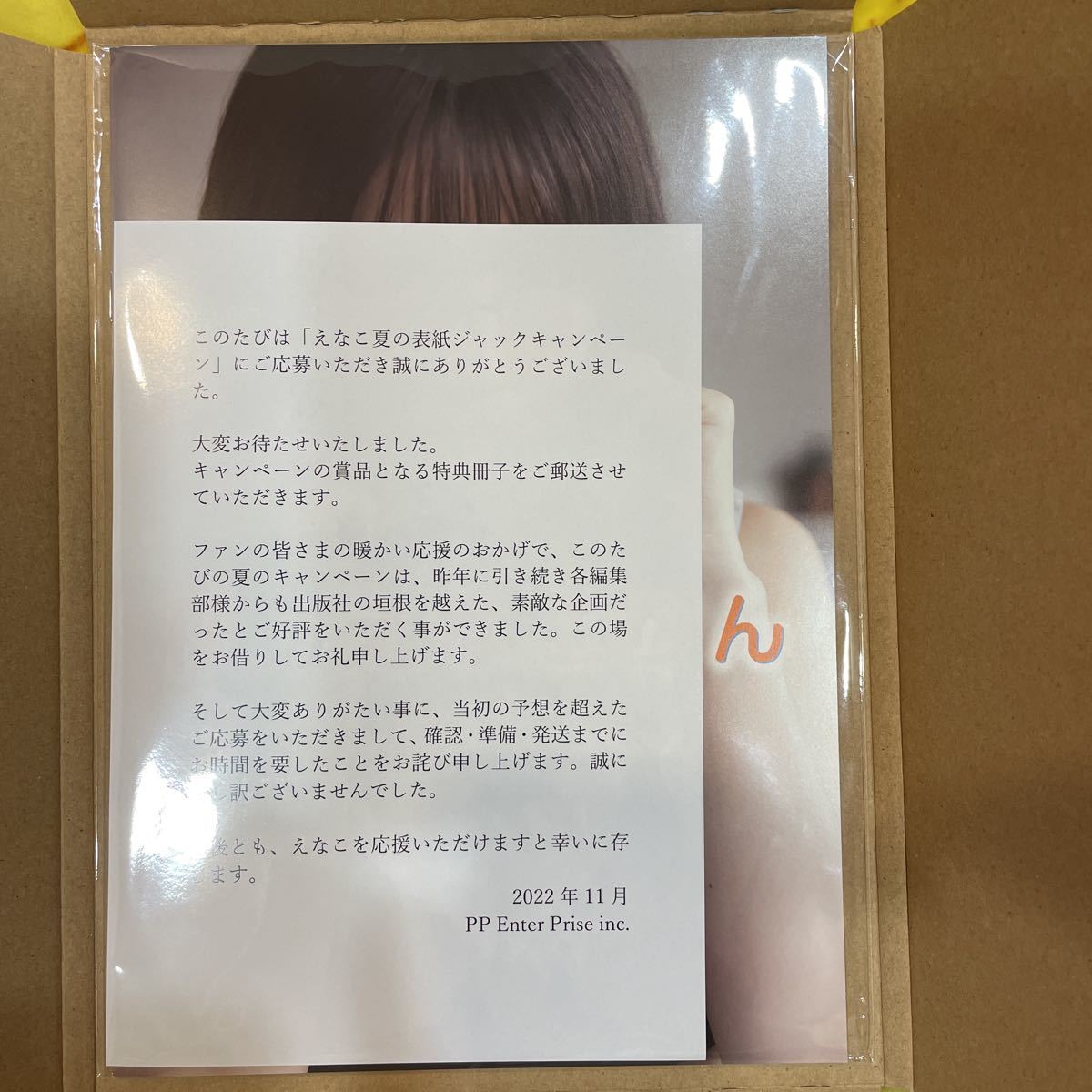 えなこ えなこ夏の表紙ジャックキャンペーン 特典小冊子 PPE PP