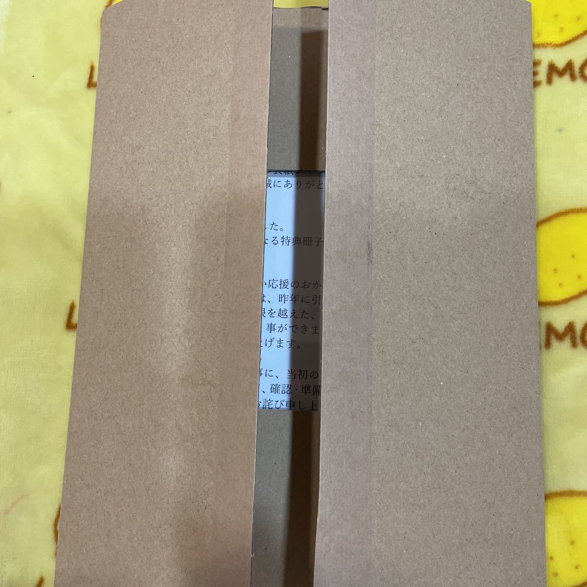 えなこ えなこ夏の表紙ジャックキャンペーン 特典小冊子 PPE PP