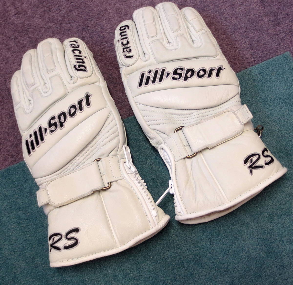Reusch glove ロイシュ スキー グローブ REUSCH ロイシュ スキー